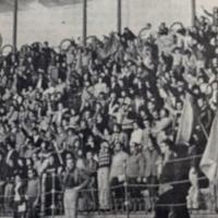 Reprodução de fotografia do Comício Nacional de Homenagem a Ribeiro Santos, realizado no Campo Pequeno, em Lisboa